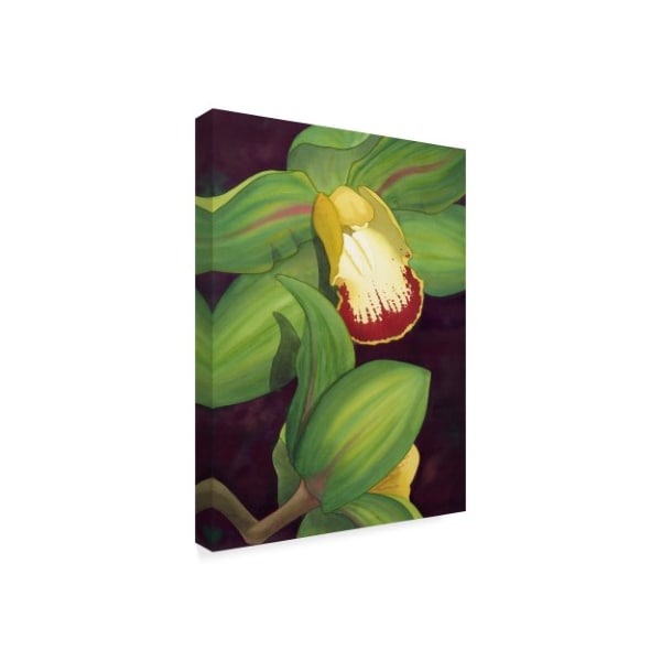 Trademark Fine Art Jason Higby 'Lime Orchid Ii' Canvas Art, 24x32 - WAG02738-C2432GG