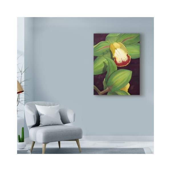 Trademark Fine Art Jason Higby 'Lime Orchid Ii' Canvas Art, 24x32 - WAG02738-C2432GG