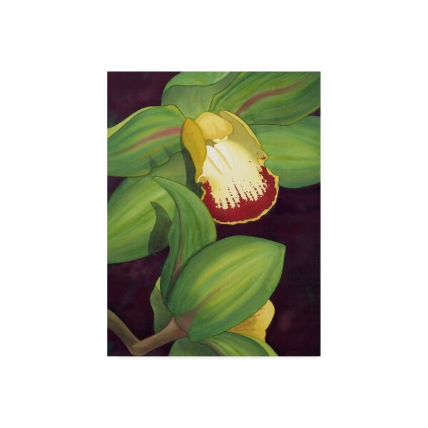 Trademark Fine Art Jason Higby 'Lime Orchid Ii' Canvas Art, 24x32 - WAG02738-C2432GG