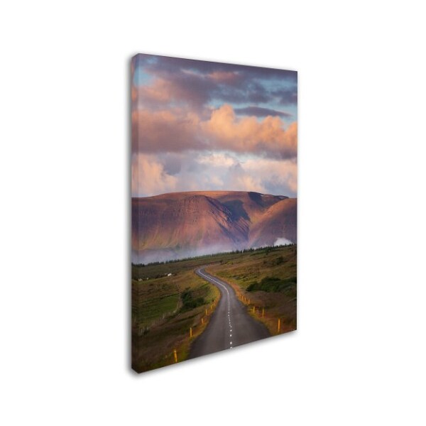 Trademark Fine Art Philippe Sainte-Laudy 'Always on my Mind' Canvas Art, 22x32 - PSL0596-C2232GG