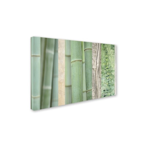 Trademark Fine Art Cora Niele 'Green Bamboo Collage' Canvas Art, 22x32 - ALI16522-C2232GG