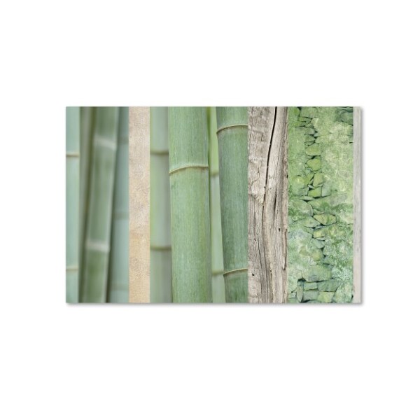 Trademark Fine Art Cora Niele 'Green Bamboo Collage' Canvas Art, 22x32 - ALI16522-C2232GG
