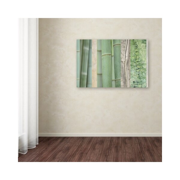 Trademark Fine Art Cora Niele 'Green Bamboo Collage' Canvas Art, 22x32 - ALI16522-C2232GG