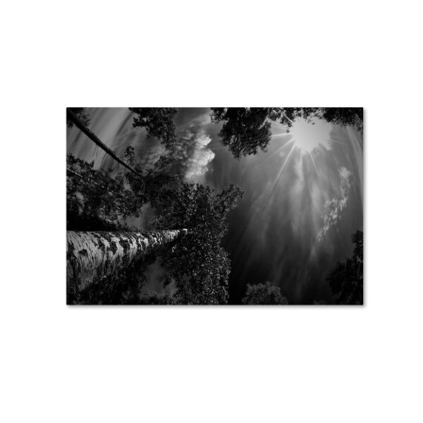 Trademark Fine Art Mikael Jigmo 'Dreaming Before The Thunder' Canvas Art, 22x32 - 1X01910-C2232GG