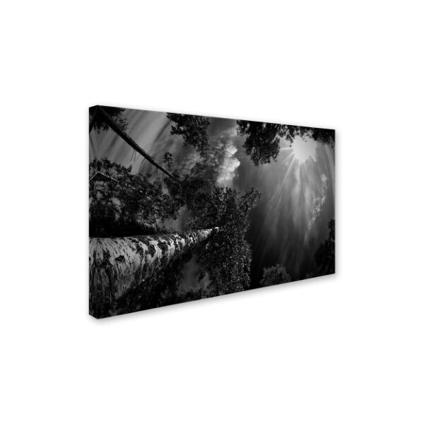 Trademark Fine Art Mikael Jigmo 'Dreaming Before The Thunder' Canvas Art, 22x32 - 1X01910-C2232GG