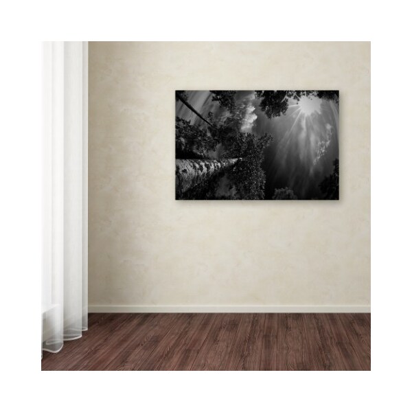 Trademark Fine Art Mikael Jigmo 'Dreaming Before The Thunder' Canvas Art, 22x32 - 1X01910-C2232GG