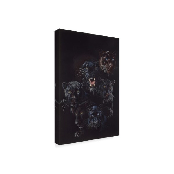 Trademark Fine Art Barbara Keith 'Onyx' Canvas Art, 22x32 - ALI25346-C2232GG