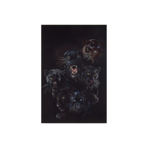 Trademark Fine Art Barbara Keith 'Onyx' Canvas Art, 22x32 - ALI25346-C2232GG