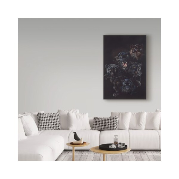 Trademark Fine Art Barbara Keith 'Onyx' Canvas Art, 22x32 - ALI25346-C2232GG