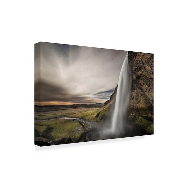 Trademark Fine Art Bragi Ingibergsson 'Nature Study' Canvas Art, 22x32 - 1X04807-C2232GG