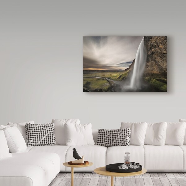 Trademark Fine Art Bragi Ingibergsson 'Nature Study' Canvas Art, 22x32 - 1X04807-C2232GG