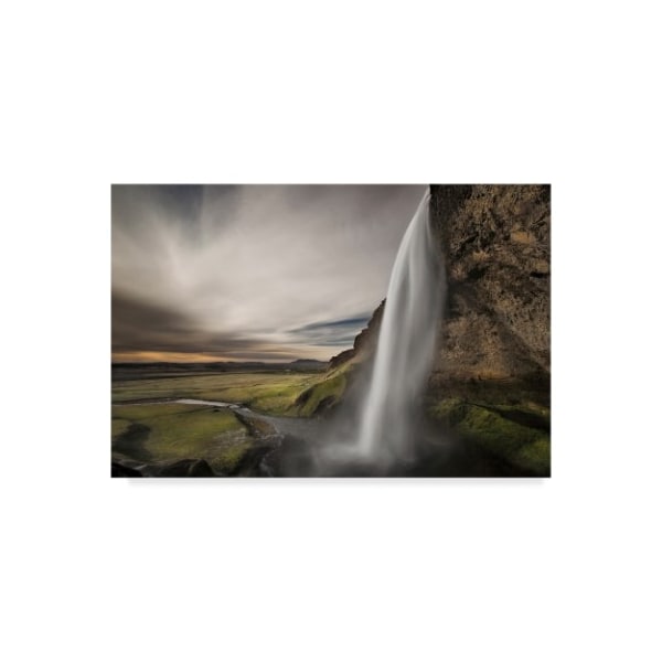 Trademark Fine Art Bragi Ingibergsson 'Nature Study' Canvas Art, 22x32 - 1X04807-C2232GG