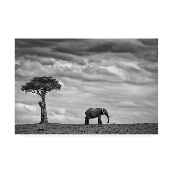 Trademark Fine Art Mario Moreno 'Elephant Landscape' Canvas Art, 22x32 - 1X08603-C2232GG