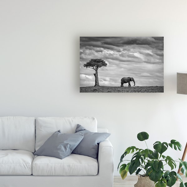 Trademark Fine Art Mario Moreno 'Elephant Landscape' Canvas Art, 22x32 - 1X08603-C2232GG