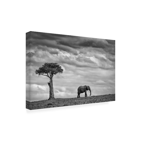 Trademark Fine Art Mario Moreno 'Elephant Landscape' Canvas Art, 22x32 - 1X08603-C2232GG