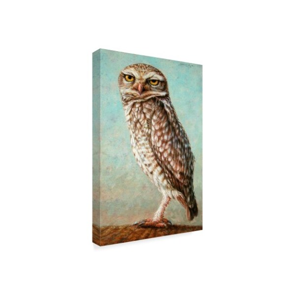 Trademark Fine Art James W. Johnson 'Burrowing Owl' Canvas Art, 22x32 - ALI36253-C2232GG