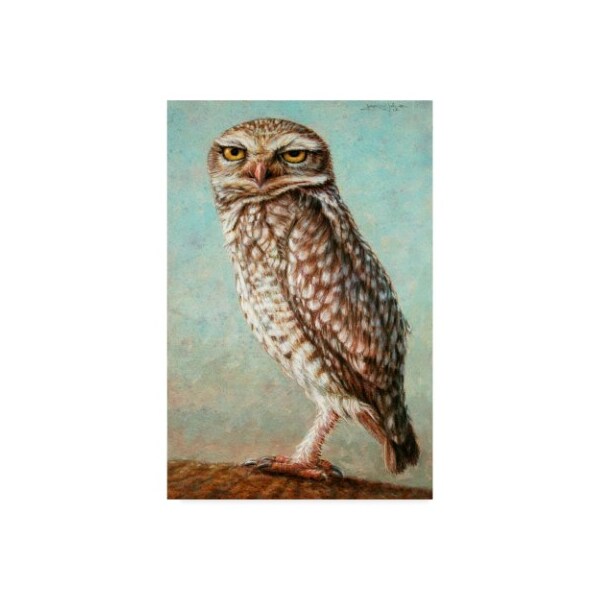 Trademark Fine Art James W. Johnson 'Burrowing Owl' Canvas Art, 22x32 - ALI36253-C2232GG