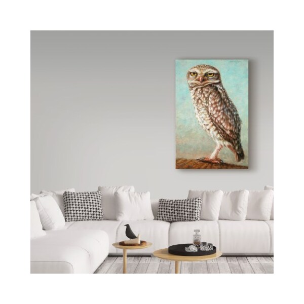 Trademark Fine Art James W. Johnson 'Burrowing Owl' Canvas Art, 22x32 - ALI36253-C2232GG