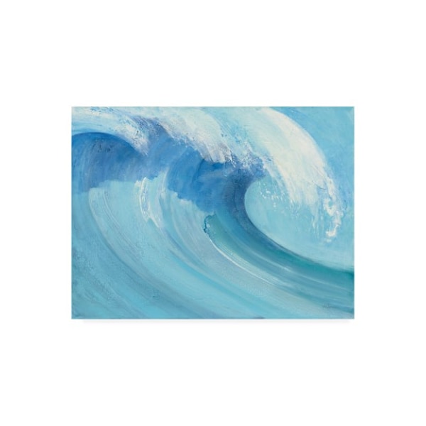 Trademark Fine Art Albena Hristova 'Catch A Wave' Canvas Art, 24x32 - WAP10025-C2432GG