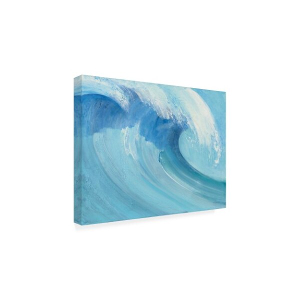 Trademark Fine Art Albena Hristova 'Catch A Wave' Canvas Art, 24x32 - WAP10025-C2432GG