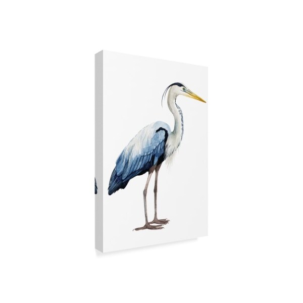 Trademark Fine Art Grace Popp 'Seabird Heron Ii' Canvas Art, 30x47 - WAG07089-C3047GG
