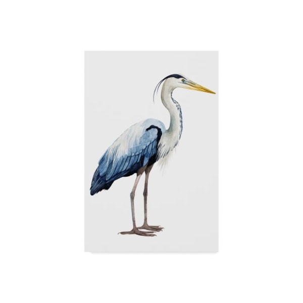 Trademark Fine Art Grace Popp 'Seabird Heron Ii' Canvas Art, 30x47 - WAG07089-C3047GG