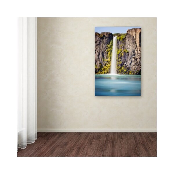 Trademark Fine Art Philippe Sainte-Laudy 'Odessa' Canvas Art, 12x19 - PSL0781-C1219GG
