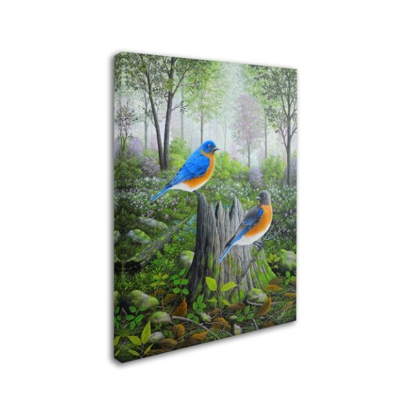 Trademark Fine Art Robert Wavra 'Spring Bluebirds' Canvas Art, 35x47 - ALI12082-C3547GG