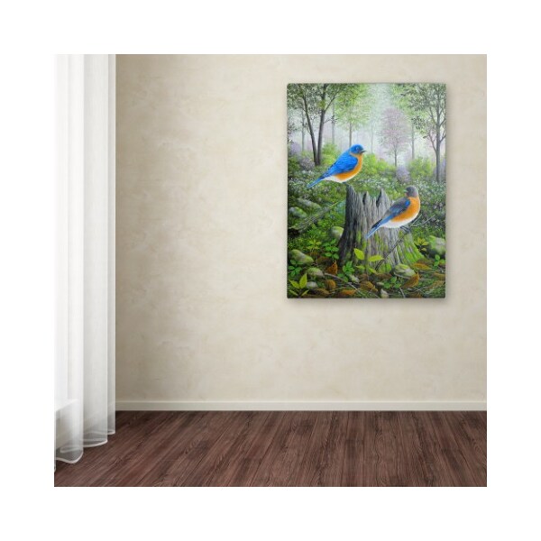 Trademark Fine Art Robert Wavra 'Spring Bluebirds' Canvas Art, 35x47 - ALI12082-C3547GG
