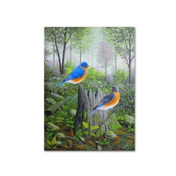Trademark Fine Art Robert Wavra 'Spring Bluebirds' Canvas Art, 35x47 - ALI12082-C3547GG