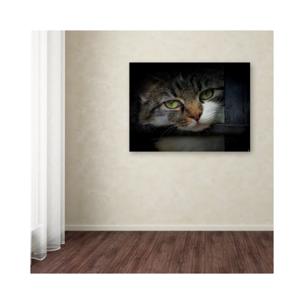 Trademark Fine Art Jai Johnson 'Behind Bars' Canvas Art, 35x47 - ALI13790-C3547GG