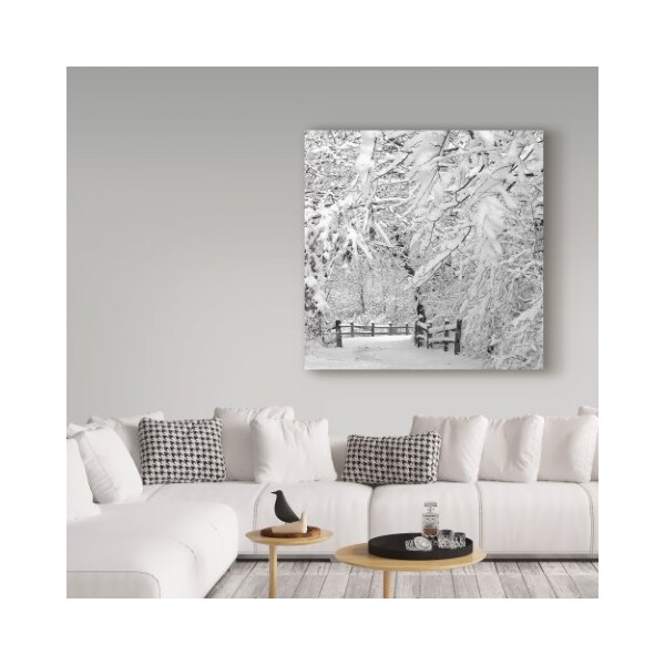 Trademark Fine Art Incredi 'Winter Wonderland White' Canvas Art, 35x35 - ALI35931-C3535GG