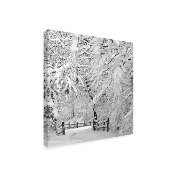 Trademark Fine Art Incredi 'Winter Wonderland White' Canvas Art, 35x35 - ALI35931-C3535GG