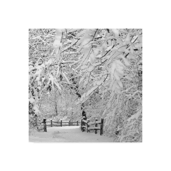 Trademark Fine Art Incredi 'Winter Wonderland White' Canvas Art, 35x35 - ALI35931-C3535GG