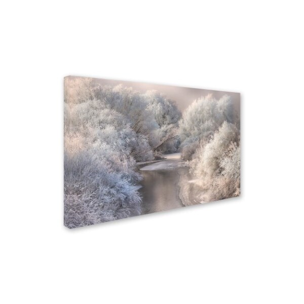 Trademark Fine Art Sebestyen Bela 'Winter Song' Canvas Art, 16x24 - 1X00240-C1624GG