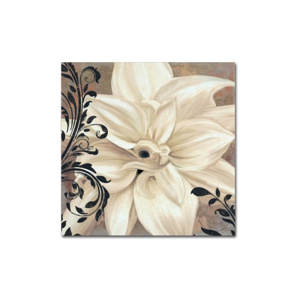 Trademark Fine Art Color Bakery 'Winter White II' Canvas Art, 24x24 - ALI4298-C2424GG