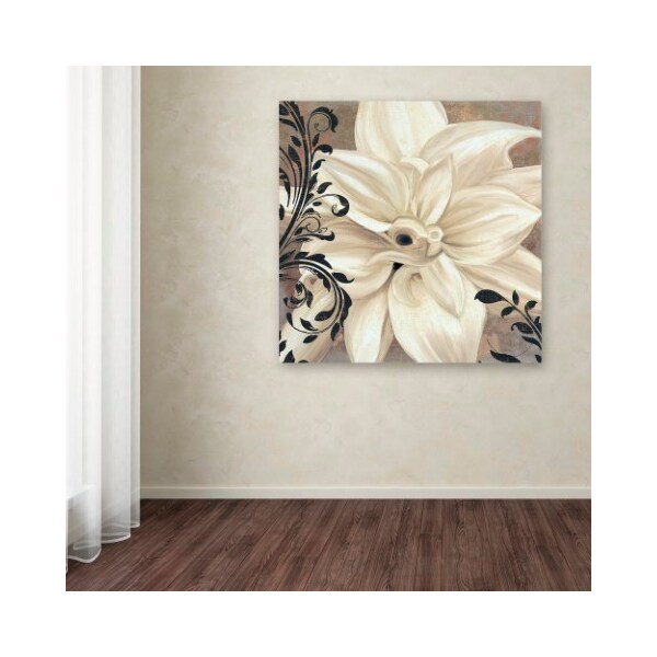 Trademark Fine Art Color Bakery 'Winter White II' Canvas Art, 24x24 - ALI4298-C2424GG
