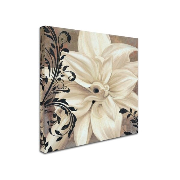 Trademark Fine Art Color Bakery 'Winter White II' Canvas Art, 24x24 - ALI4298-C2424GG