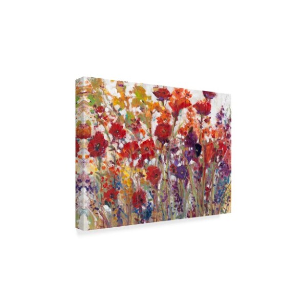 Trademark Fine Art Tim Otoole 'Variety Of Flowers I' Canvas Art, 18x24 - WAG08311-C1824GG