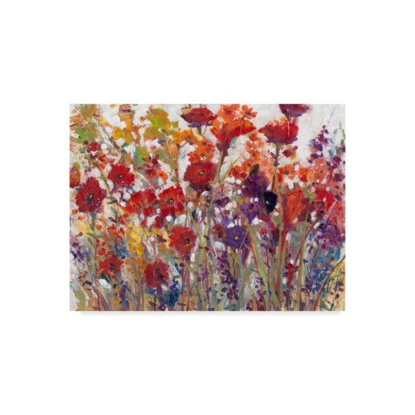 Trademark Fine Art Tim Otoole 'Variety Of Flowers I' Canvas Art, 18x24 - WAG08311-C1824GG