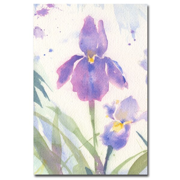 Trademark Fine Art Sheila Golden 'June Iris' Canvas Art, 16x24 - SG0302A-C1624GG