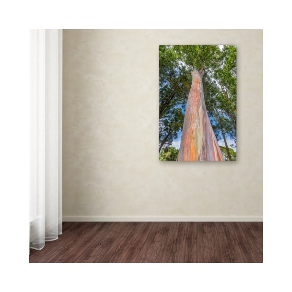 Trademark Fine Art Pierre Leclerc 'Rainbow Tree' Canvas Art, 22x32 - PL0290-C2232GG
