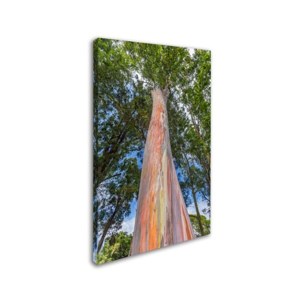 Trademark Fine Art Pierre Leclerc 'Rainbow Tree' Canvas Art, 22x32 - PL0290-C2232GG