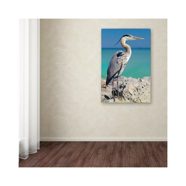 Trademark Fine Art Mike Jones Photo 'Blue Heron' Canvas Art, 12x19 - ALI17907-C1219GG