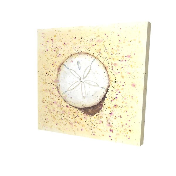 Fondo 16 x 16 in. Sand-Dollar-Print on Canvas - FO2774481