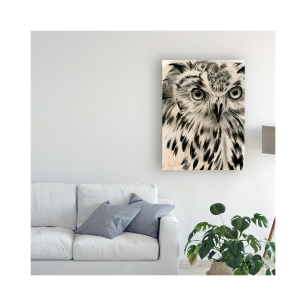 Trademark Fine Art Jennifer Paxton Parker 'Charcoal Owl I' Canvas Art, 18x24 - WAG13504-C1824GG