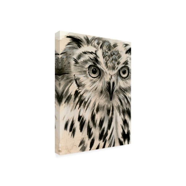 Trademark Fine Art Jennifer Paxton Parker 'Charcoal Owl I' Canvas Art, 18x24 - WAG13504-C1824GG