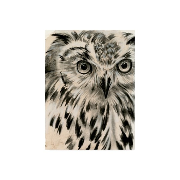 Trademark Fine Art Jennifer Paxton Parker 'Charcoal Owl I' Canvas Art, 18x24 - WAG13504-C1824GG