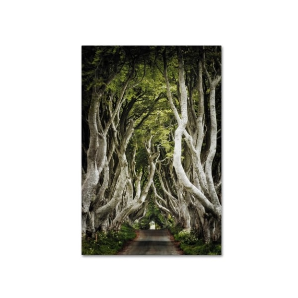Trademark Fine Art Philippe Sainte-Laudy 'Romantic Avenue' Canvas Art, 12x19 - PSL0566-C1219GG