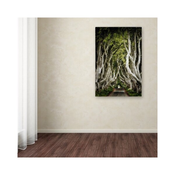 Trademark Fine Art Philippe Sainte-Laudy 'Romantic Avenue' Canvas Art, 12x19 - PSL0566-C1219GG